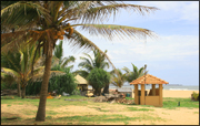 ambalangoda.jpg