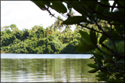 fiska-sri-lanka-liten.jpg