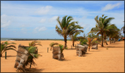 galle-strand.jpg
