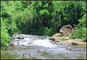 river-sri-lanka.jpg