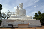 the-seated-buddha.jpg